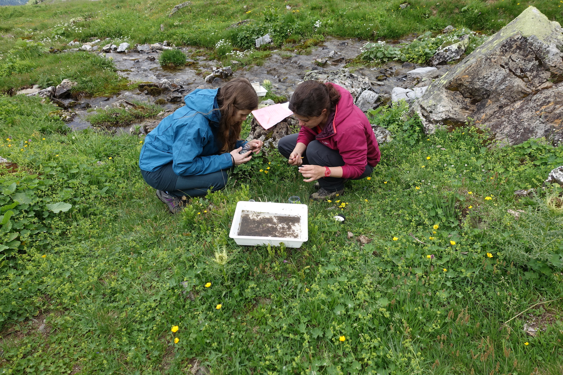 Erhebungen Fauna DSC02060