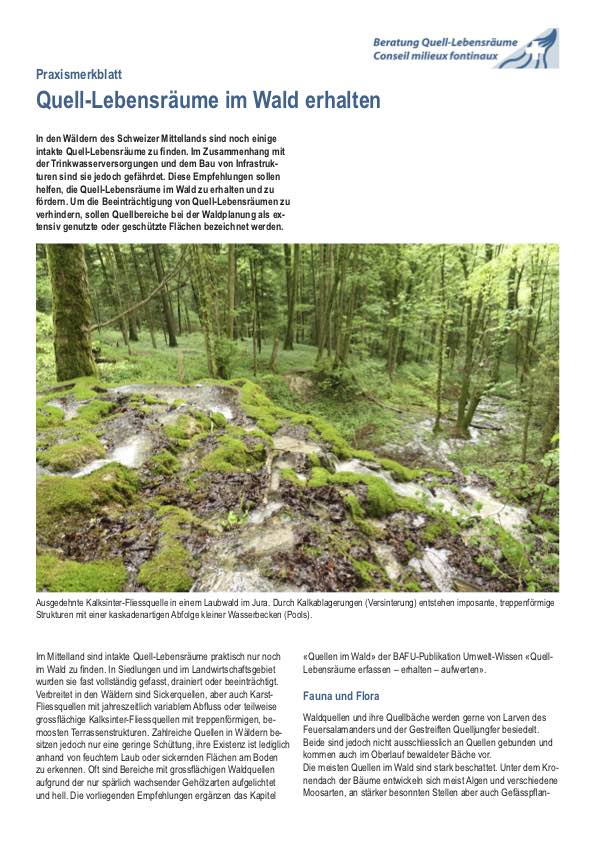 Titel KOM Factsheet Wald20220804 D