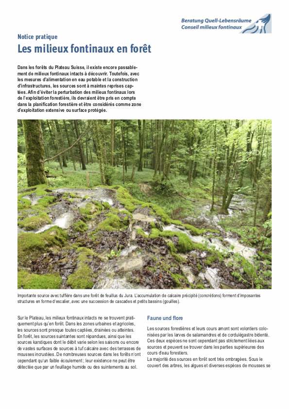 Titel KOM Factsheet Wald20220804 F