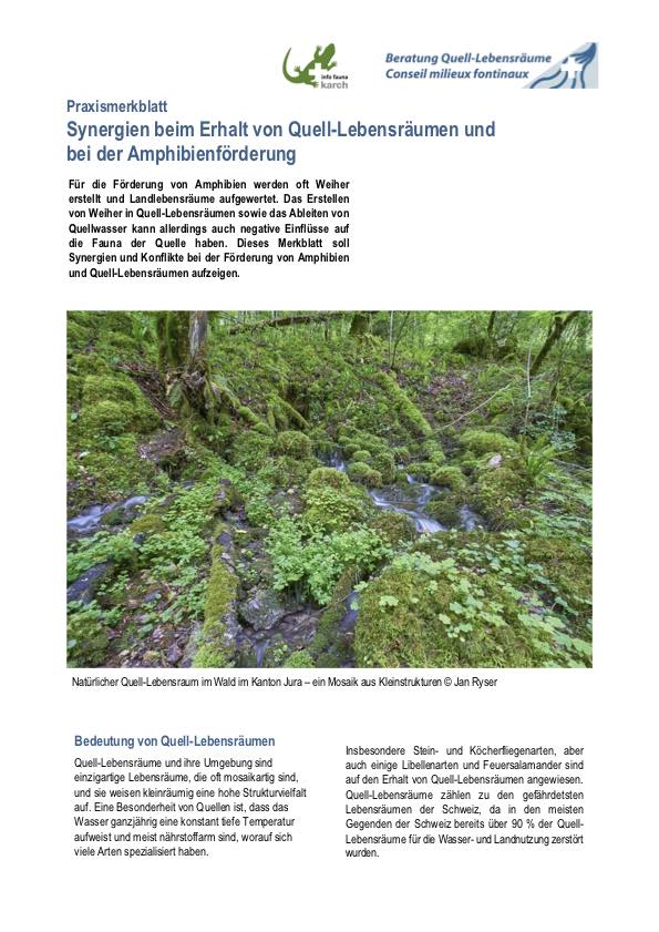 Titel KOM Merkblatt Amphibienweiher kompr20220804 DE